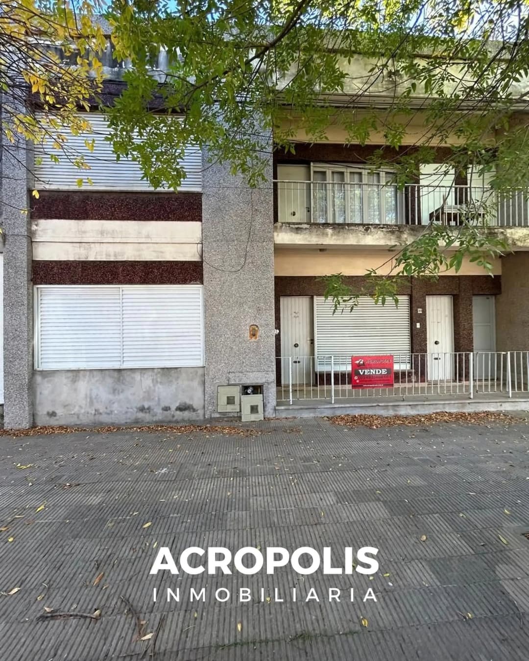 AVENIDA BELGRANO N° 281