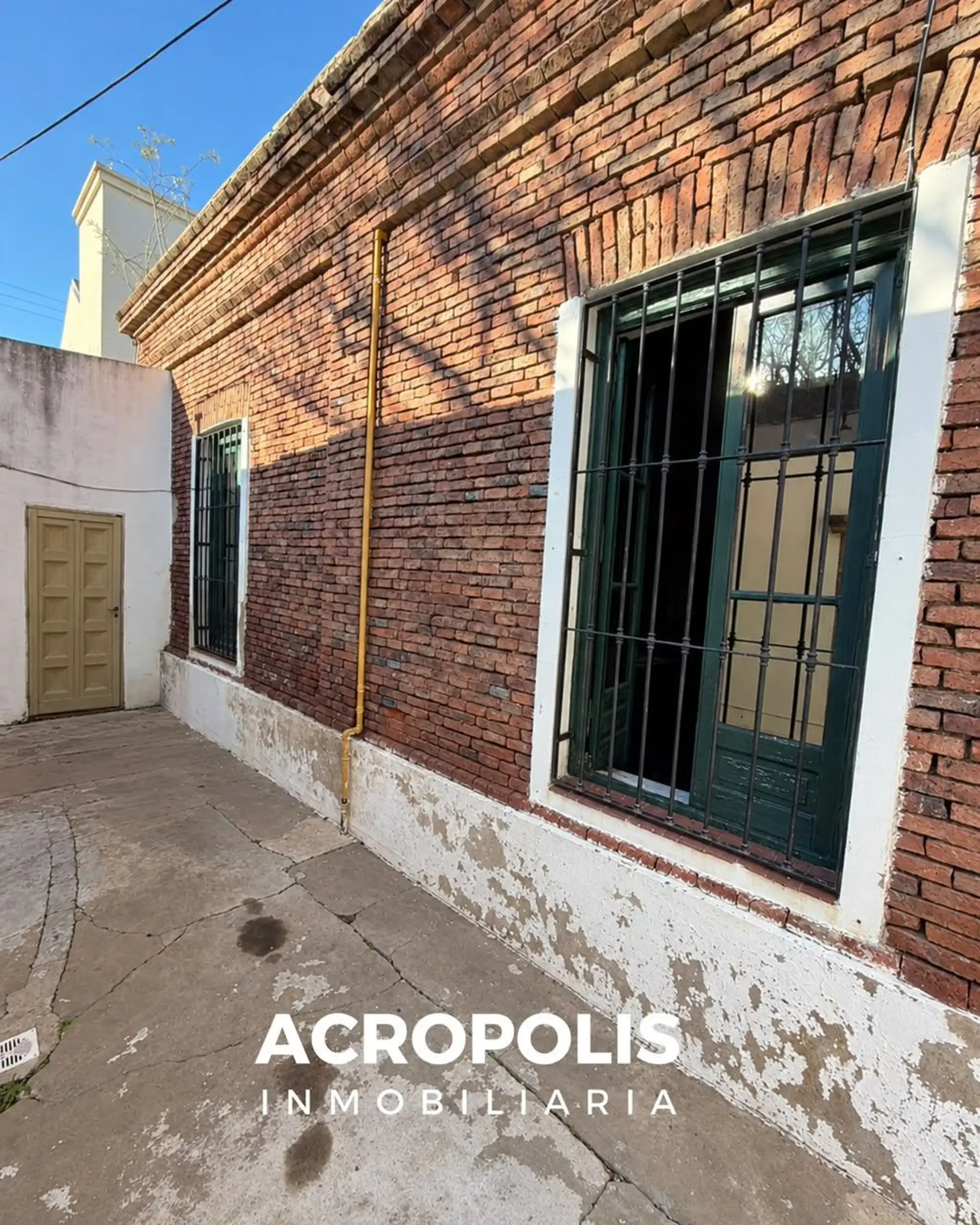 LEGUIZAMÓN N° 82 — imagen 5