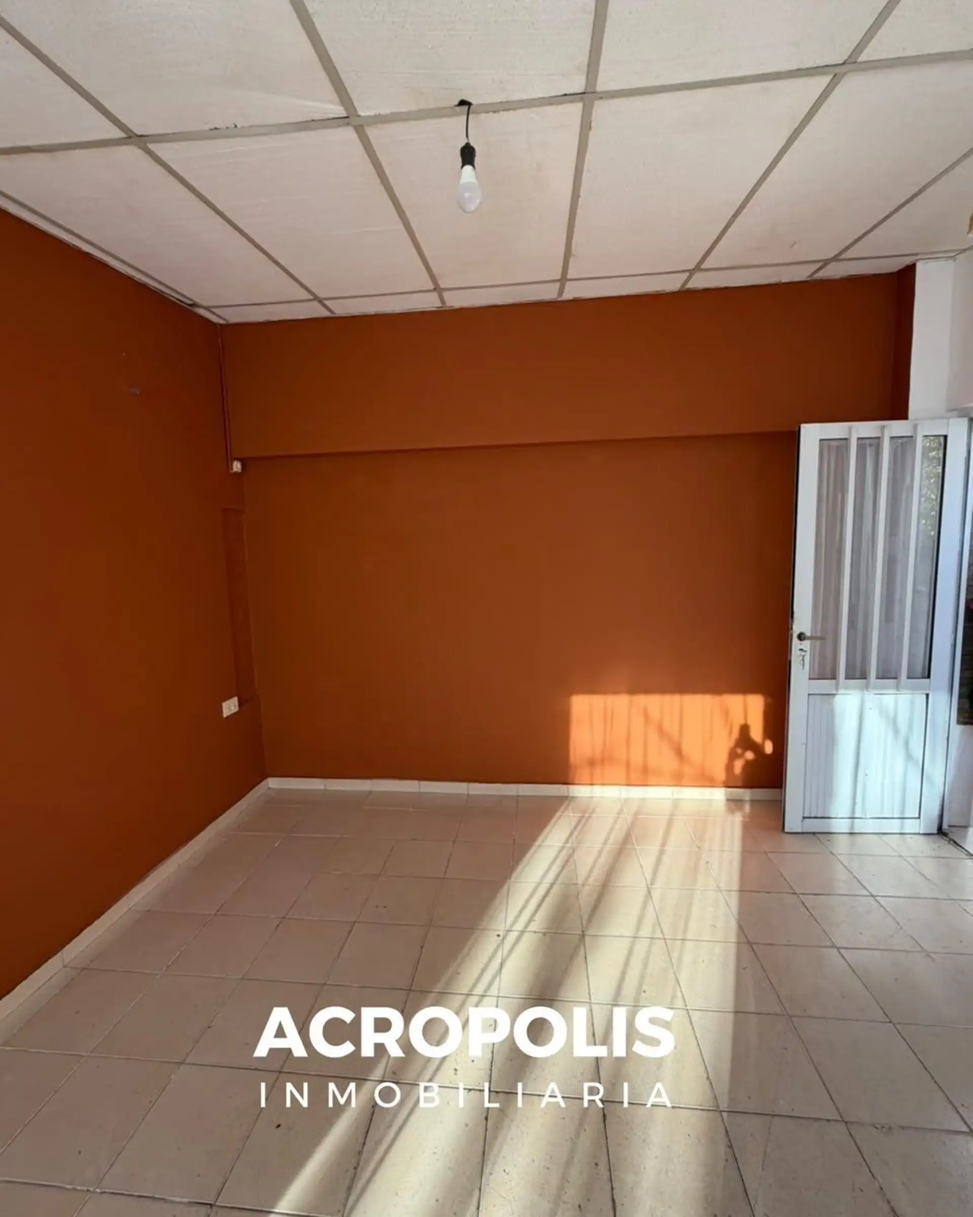 LEGUIZAMÓN N° 82 — imagen 3