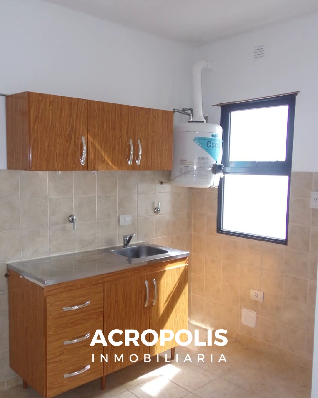 RAMELLA N° 315 — imagen 2